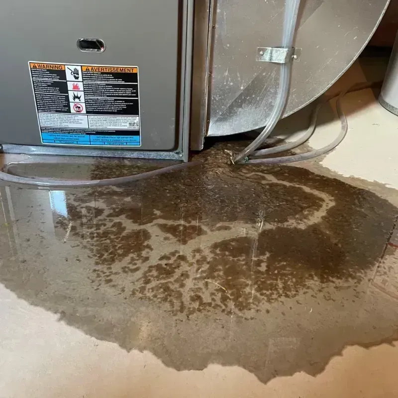 Appliance Leak Cleanup in Mountain Lakes, NJ